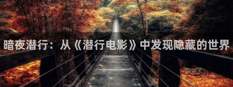 樱桃视频下载app下载：暗夜潜行：从《潜行电影》中发现隐藏的世界