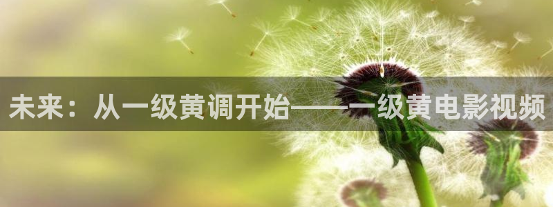 樱桃小视频手机在线播放