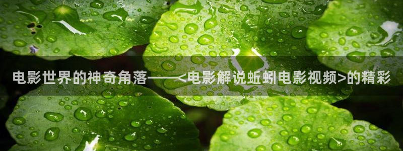 五月樱桃电影：电影世界的神奇角落——<电影解说蚯蚓电影视频>的精彩