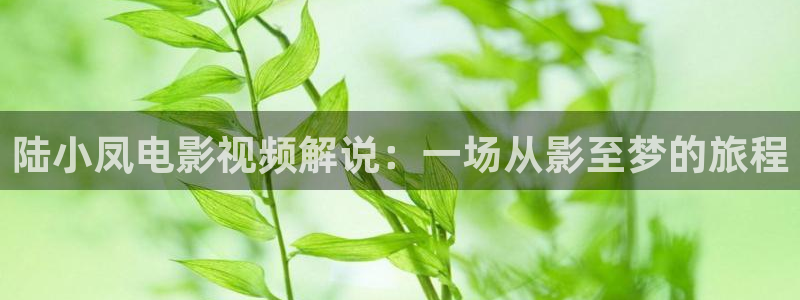 樱桃视频黄在线观看：陆小凤电影视频解说：一场从影至梦的旅程