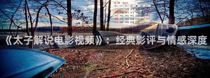 樱桃视频最新版：《太子解说电影视频》：经典影评与情感深度