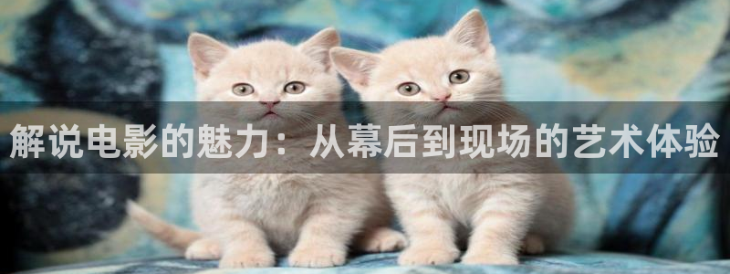 樱桃在线观看免费全集高清完整