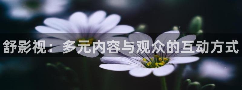 樱桃视频,下载：舒影视：多元内容与观众的互动方式