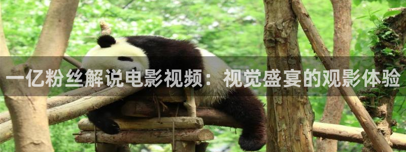 私人樱桃影视