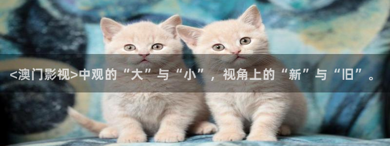 樱桃视频视下载