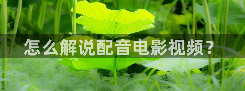 樱桃视频app免费下载