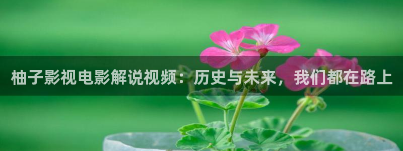 樱桃视频入口地址