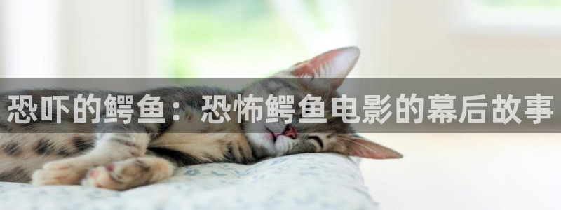 樱桃视频在线观看高清完整版国产