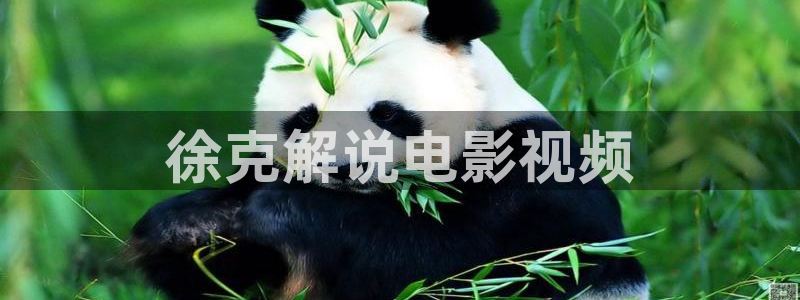 樱桃视频在哪里下载