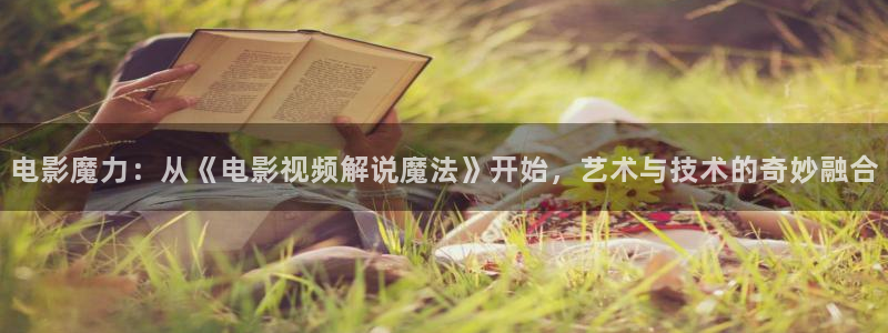 樱桃琥珀电视剧全集播放免费