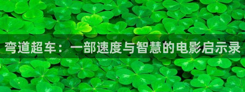 樱桃视频大全免费高清版下载