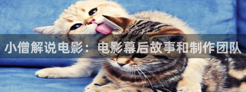樱桃视频最新下载