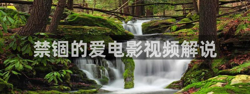 樱桃视频最新