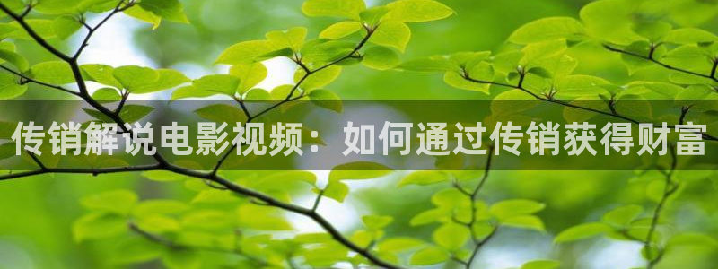 樱桃app下载