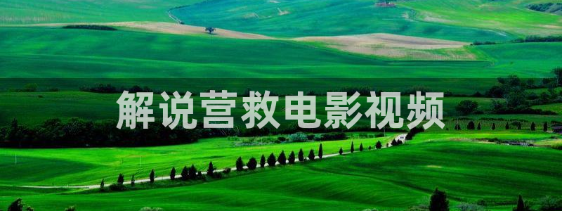 樱桃视频极品御姐在线观看