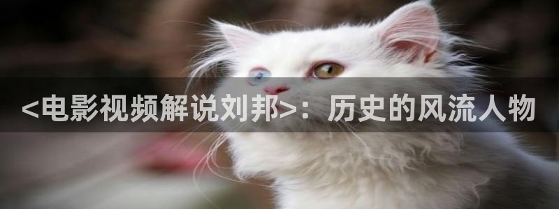 樱桃视频宅男