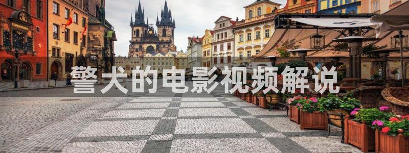 樱桃视频怎么下载安装
