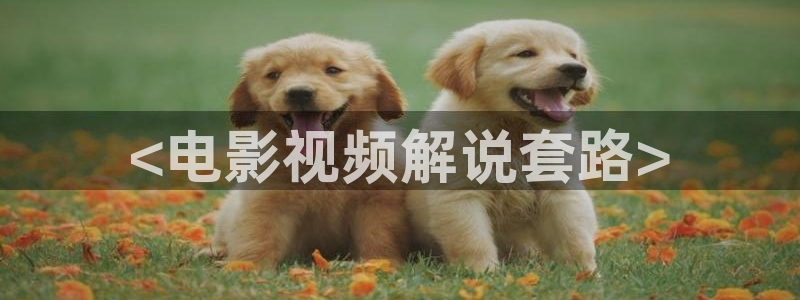 江苏樱桃：<电影视频解说套路>