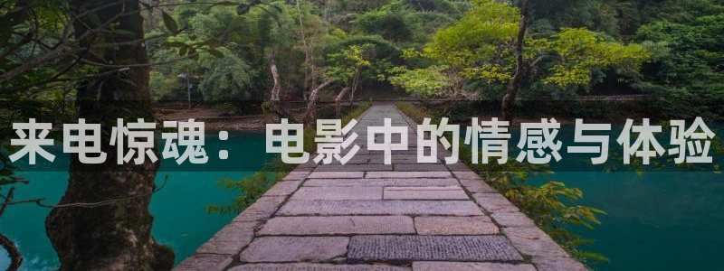 樱桃烟台：来电惊魂：电影中的情感与体验