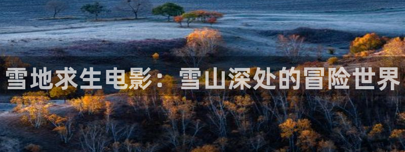 樱桃视频一二三：雪地求生电影：雪山深处的冒险世界