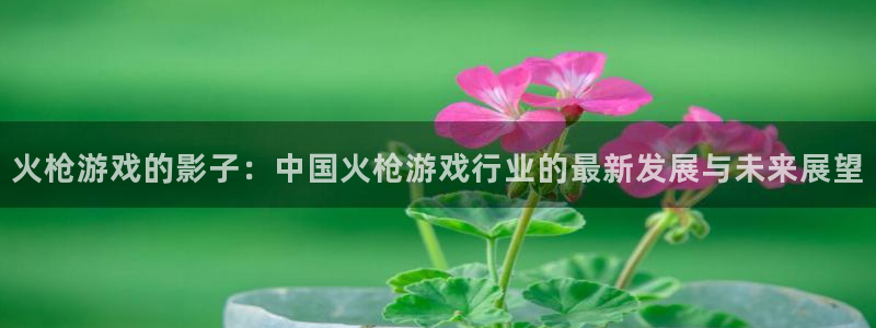 电影樱桃免费观看：火枪游戏的影子：中国火枪游戏行业的最新发展与未来展望