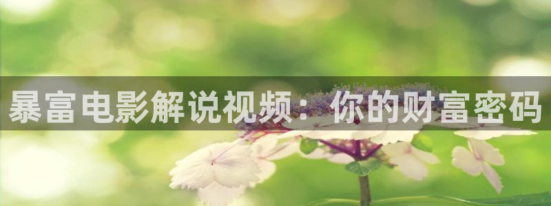樱桃视频看看：暴富电影解说视频：你的财富密码