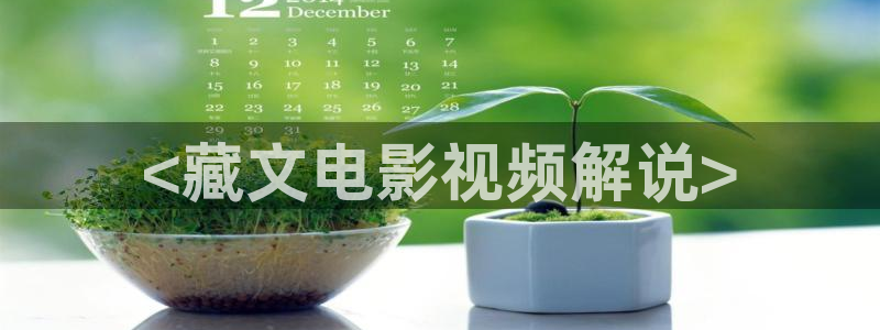 丝瓜黄瓜樱桃视频：<藏文电影视频解说>