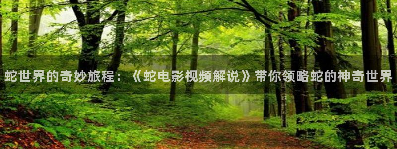 樱桃视频大全高清