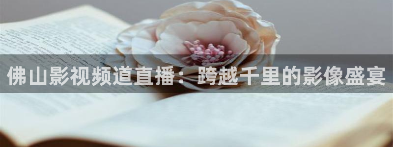 樱桃电视剧全集在线
