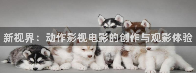 樱桃红电视剧全38集免费观看