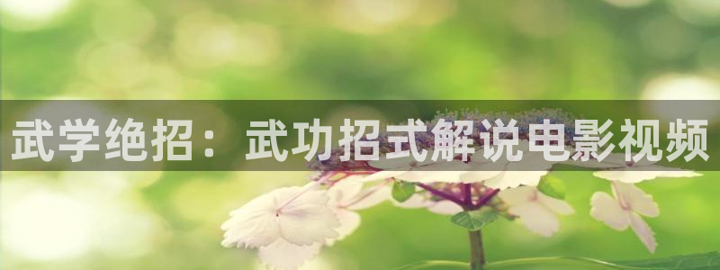 樱桃视频.app下载旧网站免费