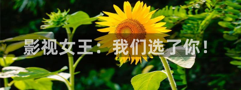 樱桃视频真人版免费观看