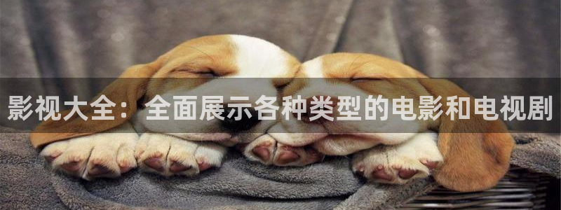 樱桃在线视频