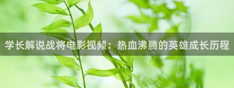 樱桃视频app在线