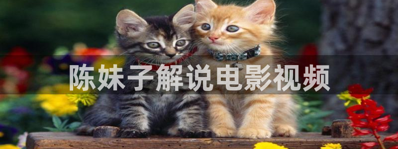樱桃电影在线观看免费完整版