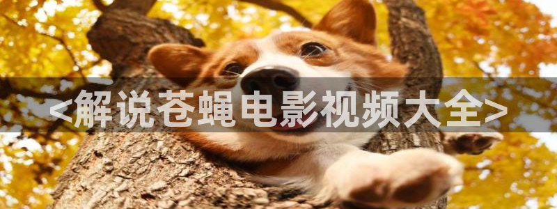 樱桃萝卜种植视频