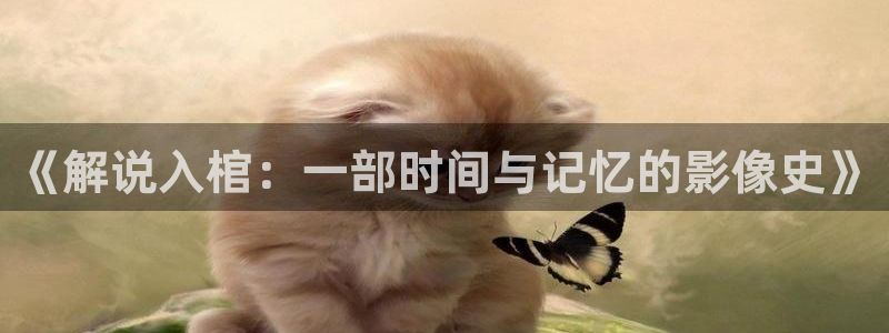 樱桃视频大全及观看：《解说入棺：一部时间与记忆的影像史》