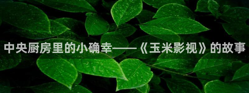 樱桃视频一级带：中央厨房里的小确幸——《玉米影视》的故事