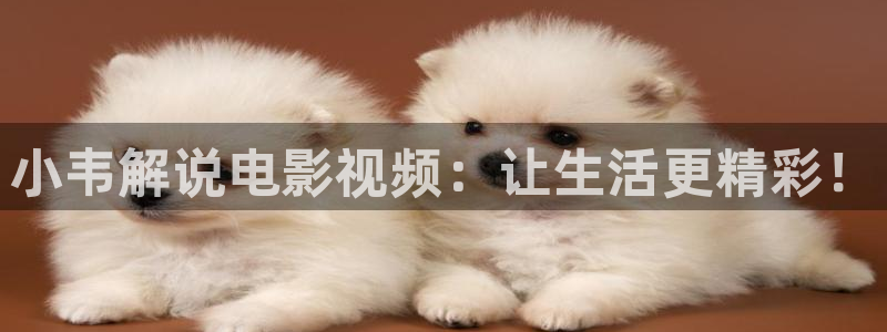 樱桃app毛片：小韦解说电影视频：让生活更精彩！