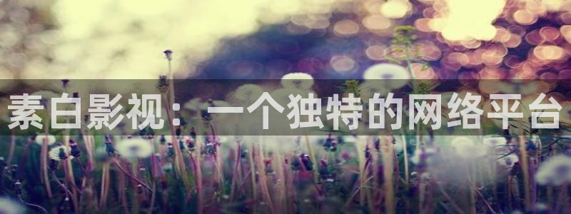 樱桃节：素白影视：一个独特的网络平台