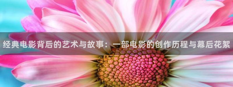 美女樱桃视频：经典电影背后的艺术与故事：一部电影的创作历程与幕后花絮