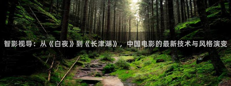 樱桃免费观看高清：智影视导：从《白夜》到《长津湖》，中国电影的最新技术与风格演变